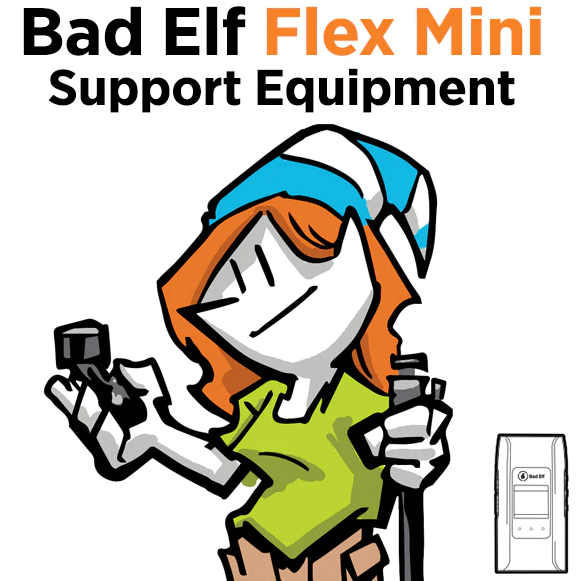 Bad Elf accessories