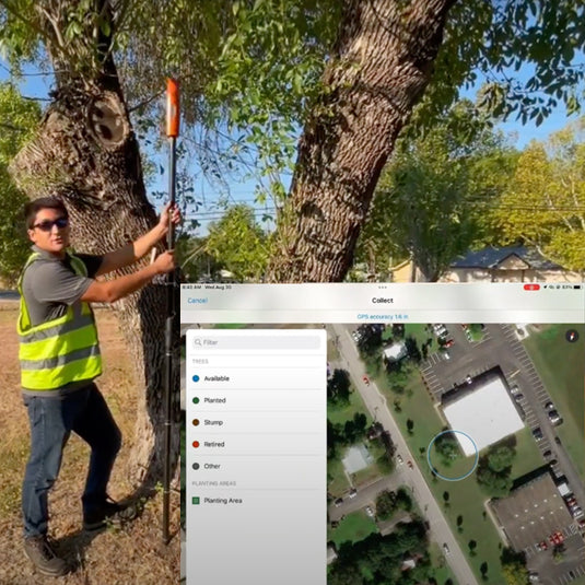 Parks and Recreation: Master Tree Management